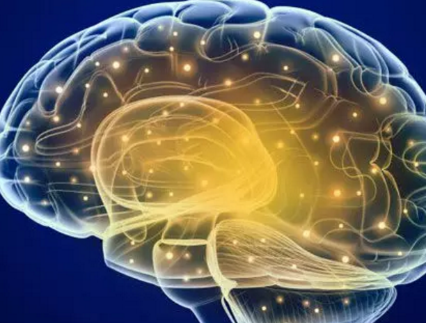 運(yùn)動(dòng)釋放你的大腦&nbsp;別再說(shuō)體育運(yùn)動(dòng)耽誤學(xué)習(xí)了