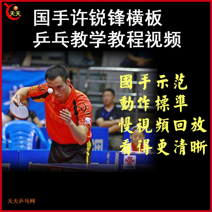 國手許銳鋒橫板乒乓球教學(xué)視頻合集&nbsp;百度網(wǎng)盤下載