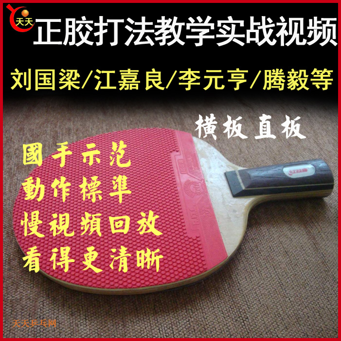 乒乓球《正膠打法》教學視頻合集&nbsp;百度網盤下載