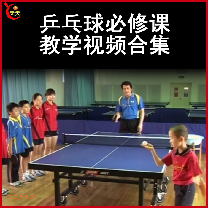 《乒乓球必修課》教學(xué)教程視頻合集百度網(wǎng)盤分享下載