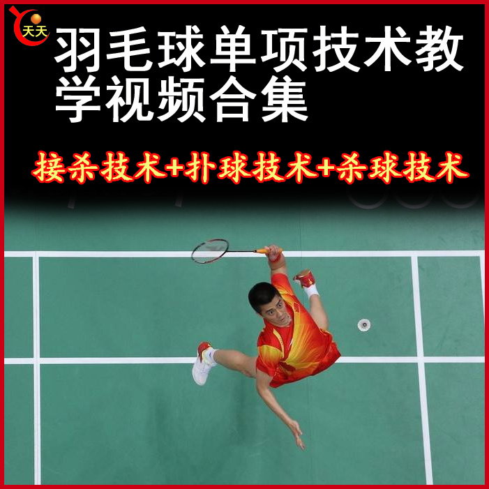 羽毛球接殺技術(shù)+撲球技術(shù)+殺球技術(shù)視頻教程全集百度網(wǎng)盤下載