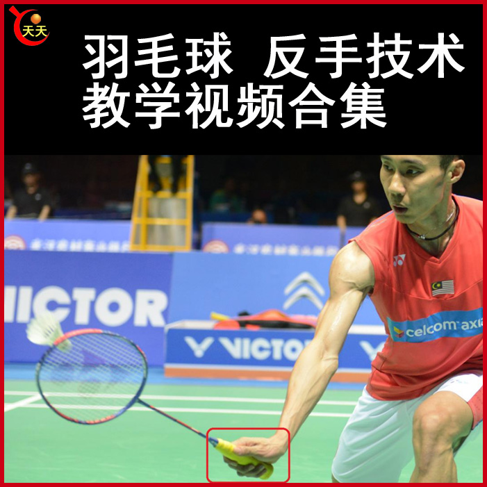 羽毛球反手教學(xué)視頻羽毛球視頻教程全集百度網(wǎng)盤下載