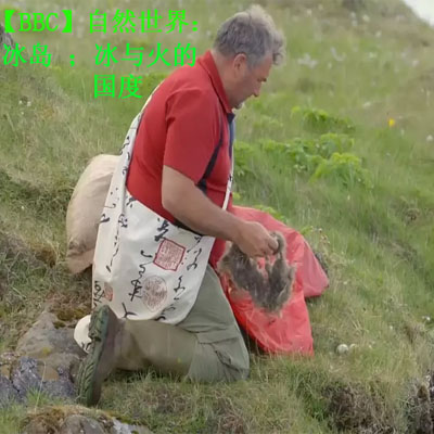 【BBC】自然世界：冰島：冰與火的國(guó)度百度云百度網(wǎng)盤(pán)下載