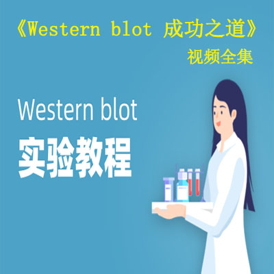 《Western&nbsp;blot&nbsp;成功之道》視頻全集百度網(wǎng)盤百度云下載