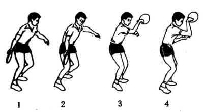 拉弧圈球時的如何協(xié)調(diào)發(fā)力(5分鐘學(xué)會)