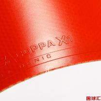 多尼克 Coppa X1 Gold 金裝