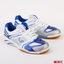 蝴蝶 Energy Force-VIII