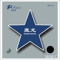 拍里奧 40+ 藏龍 Hidden Dragon