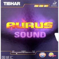 挺拔 龍吟 Aurus Sound