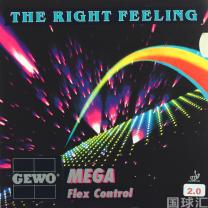 捷沃 弓網 Mega Flex Control