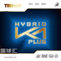 挺拔 混動 K1 Plus