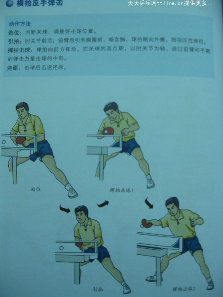 跟教練學(xué)乒乓-反彈技術(shù)-直拍反手反彈技術(shù)