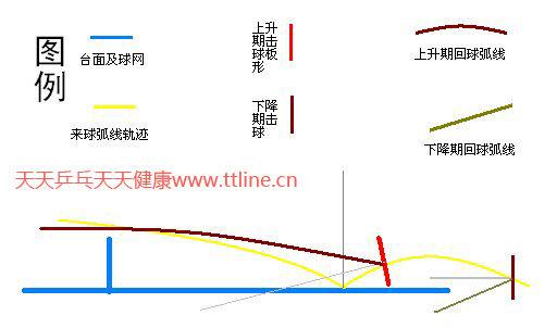 圖解正手攻球球拍板形與回球弧線
