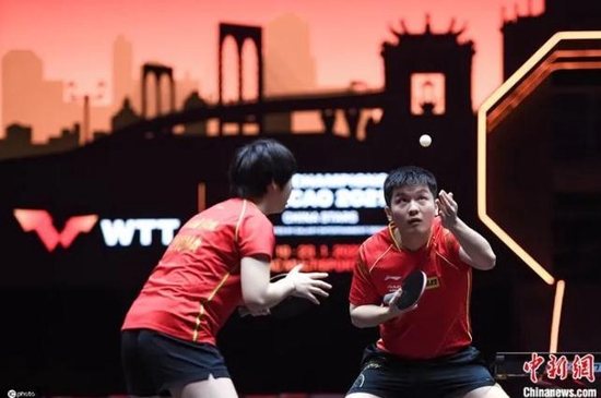 樊振東蒯曼在比賽中 圖片來(lái)源：ICphoto