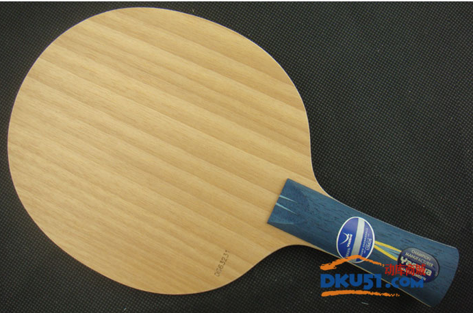 亞薩卡YE弧圈底板