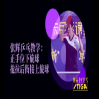 [張輝]搶拉下旋后銜接上旋，用強(qiáng)勢的連續(xù)進(jìn)攻壓制對手，這個太霸氣了！