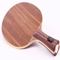 斯帝卡極強純木配膠正手蝴蝶T05，反手T64試打（爽爆不怪別人）