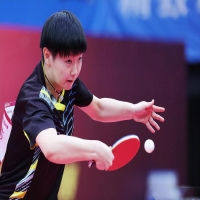 乒乓球橫板反手教學(xué) 握拍方法 橫板反手的握拍至關(guān)重要，直接影響后續(xù)技術(shù)發(fā)揮。以右手持拍為例，首先將球拍置于手掌心，中指、無(wú)名指和小指自然彎曲，輕握拍柄，如同握住一支筆，但力度要適中，既不能過(guò)松導(dǎo)致球拍晃動(dòng)，也不能過(guò)緊影響手腕靈活性。拇指自然伸直，貼于球拍左側(cè)寬面上，食指則斜搭在右側(cè)寬面上，形成一個(gè)類似 “V” 字的形狀。這種握法能保證在反手擊球時(shí)，通過(guò)拇指和食指對(duì)拍面角度的微調(diào)，精準(zhǔn)控制擊球方向和力量。比如在反手快撥時(shí)，利用拇指的用力和食指的配合，能使拍面穩(wěn)定地前傾，準(zhǔn)確擊球；而在反手拉球時(shí)，又可通過(guò)調(diào)整