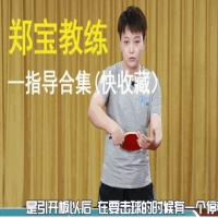 鄭寶教練乒乓技術(shù)指導(dǎo)全合集(建議收藏）