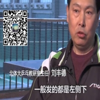 劉豐德講解-樊振東技術(shù)發(fā)反向側(cè)旋球