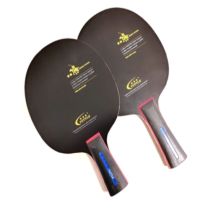 塔特爾羅蘭、皇神、貴族乒乓球拍介紹：玩花樣 我在行