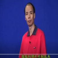 11.擺短與劈長技術(shù)-唐建軍