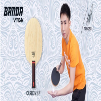 斯蒂卡頒達(dá)乒乓品牌重生!中國制造，高性價比