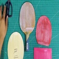 選乒乓器材，就看這48條，你有走過彎路嗎?