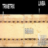 世乒賽男單季軍安宰賢的新武器