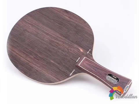 快弧上乘之選:斯蒂卡黑檀5實力測評