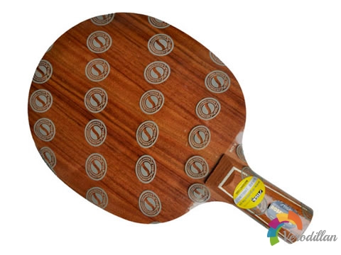 霸氣十足:斯蒂卡玫瑰5深度測評(píng)