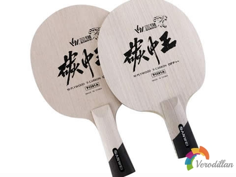 國產高大上:三維十木九碳/白勻對比測評