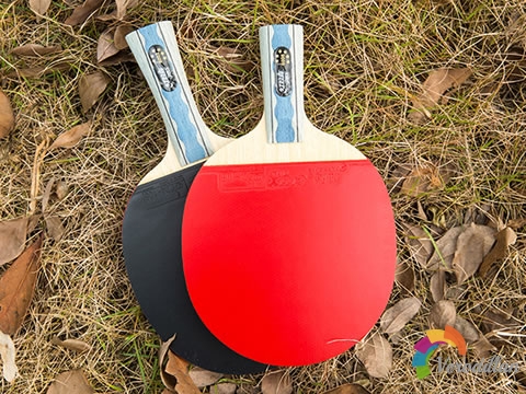 紅雙喜狂飆王/斯蒂卡OC對比試打測評