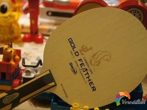 個性鮮明:世奧得金羽底板測評