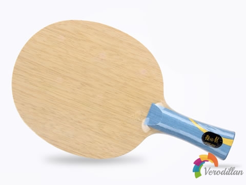 紅雙喜W968正反手試打心得