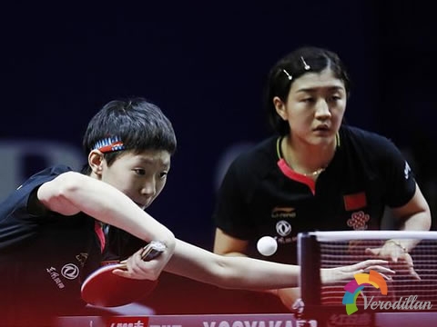 淺談長膠拱的分類,擊球后的性子以及應(yīng)用