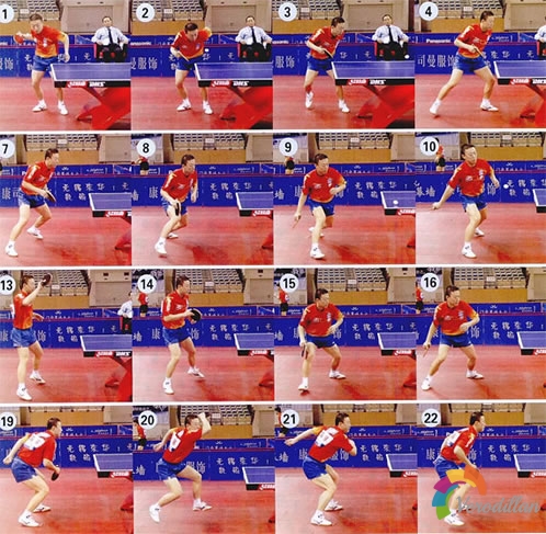 馬琳弧圈球技巧深度解碼