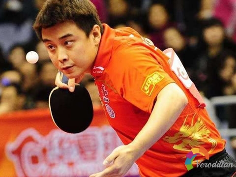 乒乓球業(yè)余競(jìng)賽和職業(yè)競(jìng)賽有哪些差異[心得體會(huì)]