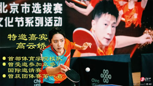 紅雙喜特制字母301乒乓球底板試打評測：是否值得擁有