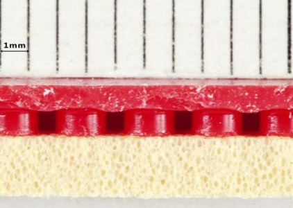 亞薩卡威力X RakzaX乒乓球膠皮試打感受