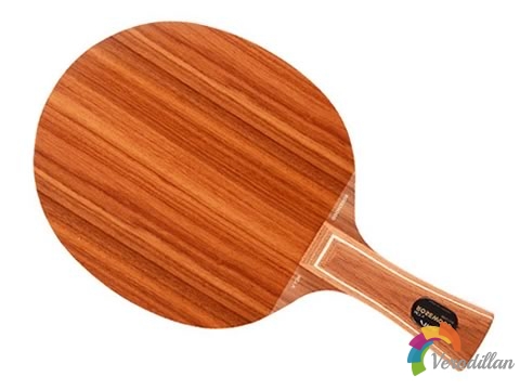 斯蒂卡玫瑰5性能怎么樣,有什么優(yōu)瑕玷