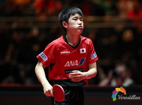 賽事解讀之張本智和正手手藝