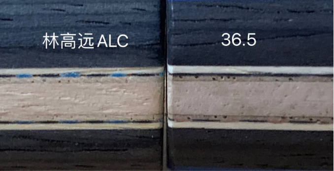驕猛36.5和蝴蝶林高遠(yuǎn)ALC乒乓球底板試打評(píng)測(cè)對(duì)比怎么樣