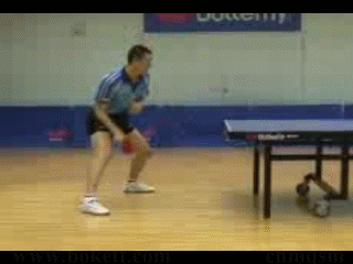 吳尚垠正手弧圈